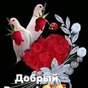 ���� ��������, �������, 45 ��� - ��������� 15 ������ 2023 � ������ ���� ����������