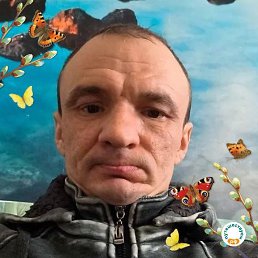 ������ ��������, 40 ���, �����������