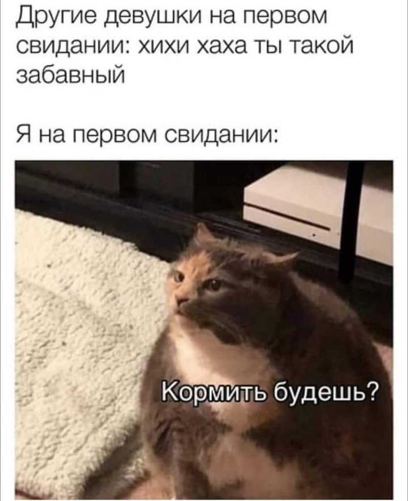    - 24  2024  04:23