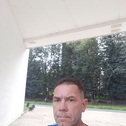 , 52, 