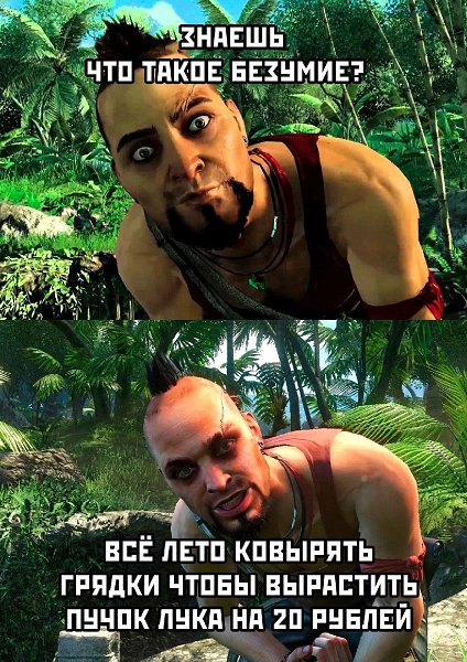 ***Victoria Viktorovna*** - 19  2024  07:21