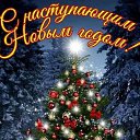 ���� �������, ������������, 62 ���� - ��������� 31 ������� 2024 � ������ ������ ��������