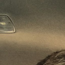 ����������, �������, 23 ����