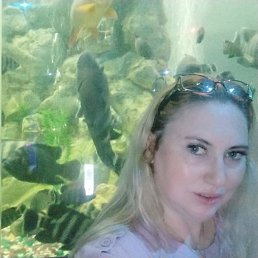 ���� ������, ������������, 41 ��� - ��������� 17 ������� 2025