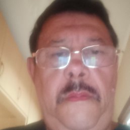 , 67, 