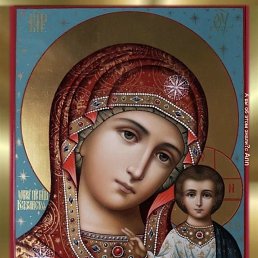 ���� ������, ����, 43 ���� - ��������� 8 ������� 2025