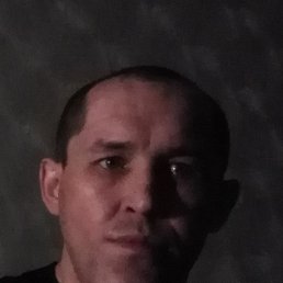 , 41, 
