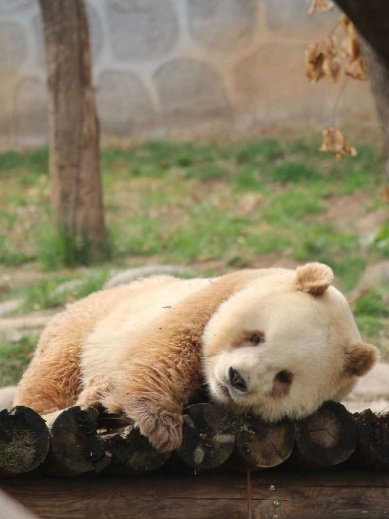   ,      .   ,       ... - 2