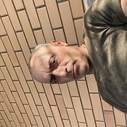 �������, ������, 49 ���