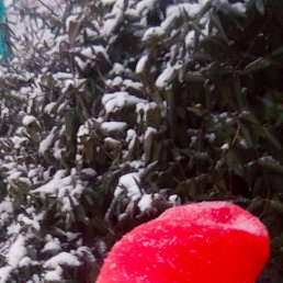 ���� ��������, ���������, 53 ���� - ��������� 5 ���� 2025