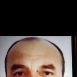 , 50, 
