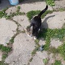 ���� ������, ���� - ��������� 13 ������ 2025 � ������ ������ ��������