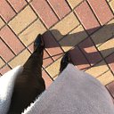 ���� �. �., ��������, 37 ��� - ��������� 7 ������ 2024 � ������ ���� ����������