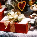 ���� ������, �������, 36 ��� - ��������� 6 ����� 2026 � ������ ���� ����������