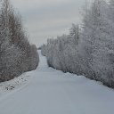 ���� �����, ������������ - ��������� 17 ������ 2023 � ������ ������ ��������