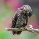 ���� ������, ������� - ��������� 2 ������� 2026