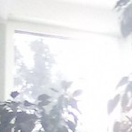 ����, ������, 44 ����