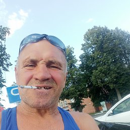 , 61, 