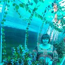 ���� �����, ������, 60 ��� - ��������� 29 ������ 2025 � ������ ���� ����������