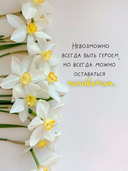 �� ����� ������! - 2 ���� 2026 � 10:44