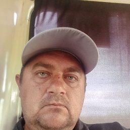 , 41, 