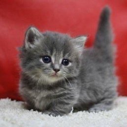 ���, �����, 23 ����