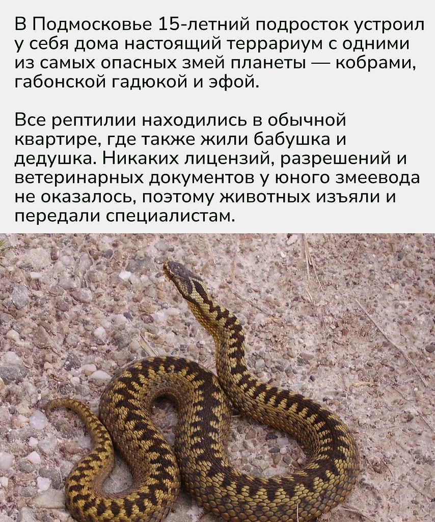 ����� ������� � ����������� � ���, ��� ������������ ������� ����� ���� �� ������ �����������, �� � ... - 2