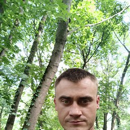 , 37, 