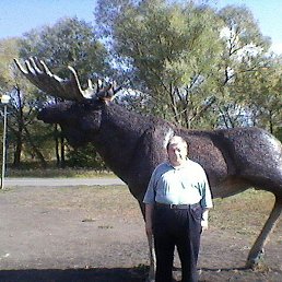 �����, �����, 64 ����