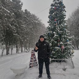 �����, ������, 37 ���