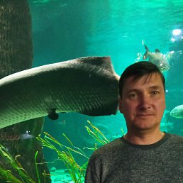 , 49, 