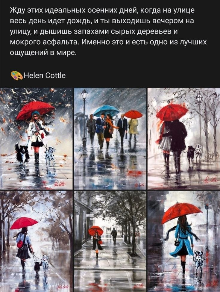   ,    . - 11  2025  19:55 - 2