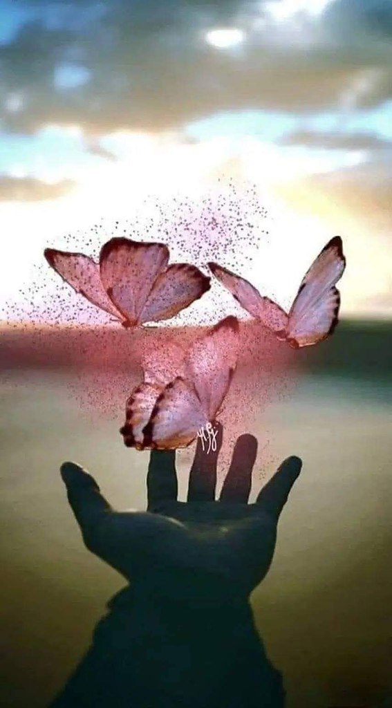 :) �������....������ �� ��� ����� ������� ���, ��� �������� � ������. � ����������� �������� ���� ...