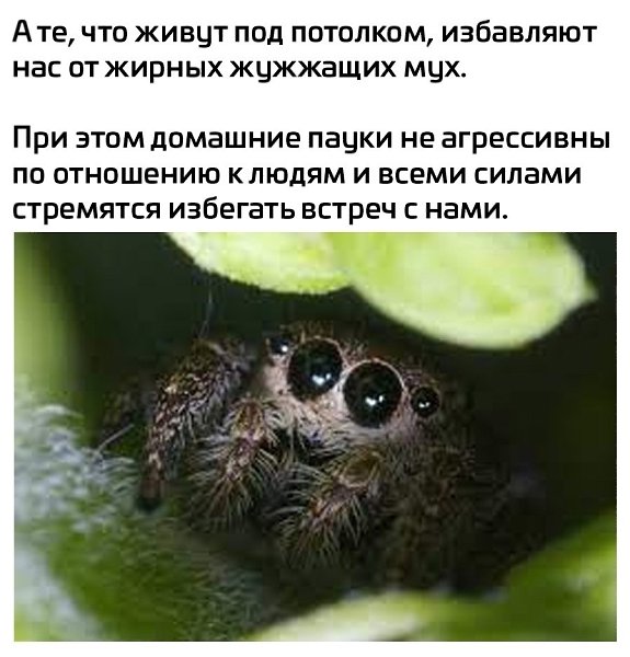    - 3