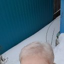 ���� �������, ����, 49 ��� - ��������� 22 ����� 2026 � ������ ���� ����������