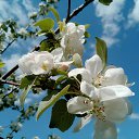 ���� �����, ������-��-���� - ��������� 6 ����� 2025 � ������ ���� ����������