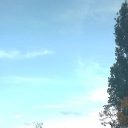 �������, �������, 45 ���