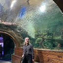 ���� �������, ������, 55 ��� - ��������� 31 ������� 2023 � ������ ���� ����������