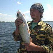 �����, 53 ����, �������