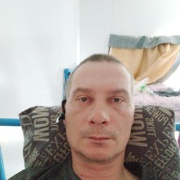 , 52 , 