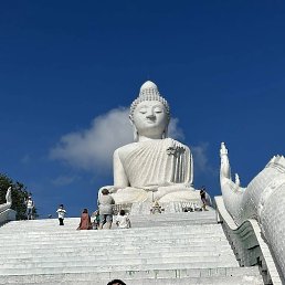 �������, �����-���������, 38 ���