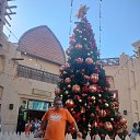 ���� ��������, �����-��������� - ��������� 25 ������ 2025 � ������ ����������� ����� ����� ��� 2025�