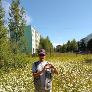 ������� ��������, 50 ���, �������