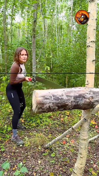 ������ ����������� - 2