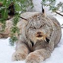 ���� �������, ������� - ��������� 11 �������� 2024 � ������ ���� ����������