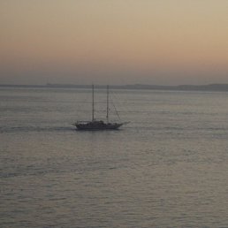 ��������, �����-���������, 65 ���