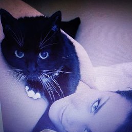 ����, ���������