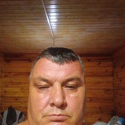 , 53 , 