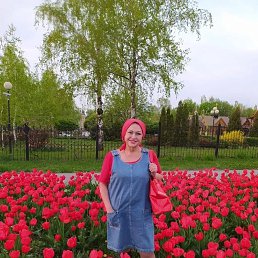 ���� ��������, ��������, 56 ��� - ��������� 4 ������� 2026