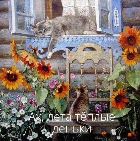   - 4  2024  17:50